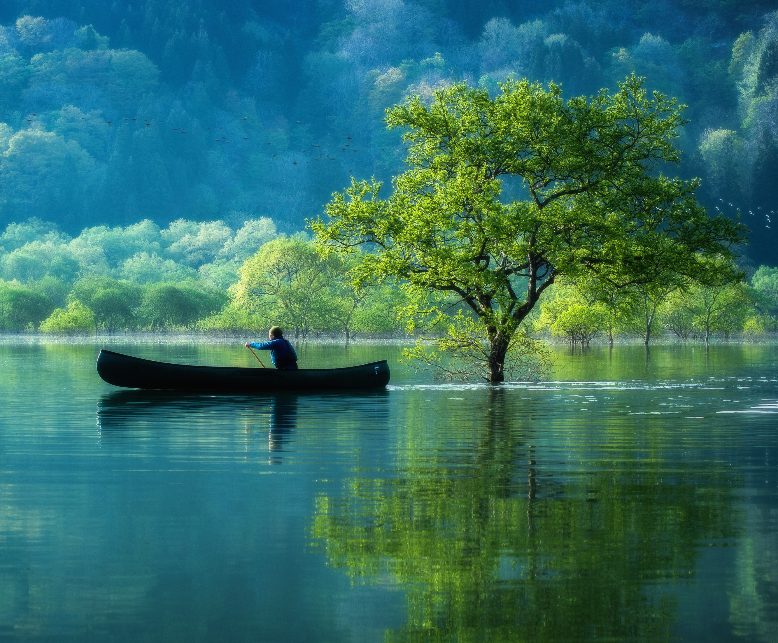 写真作家.photographer.写真展