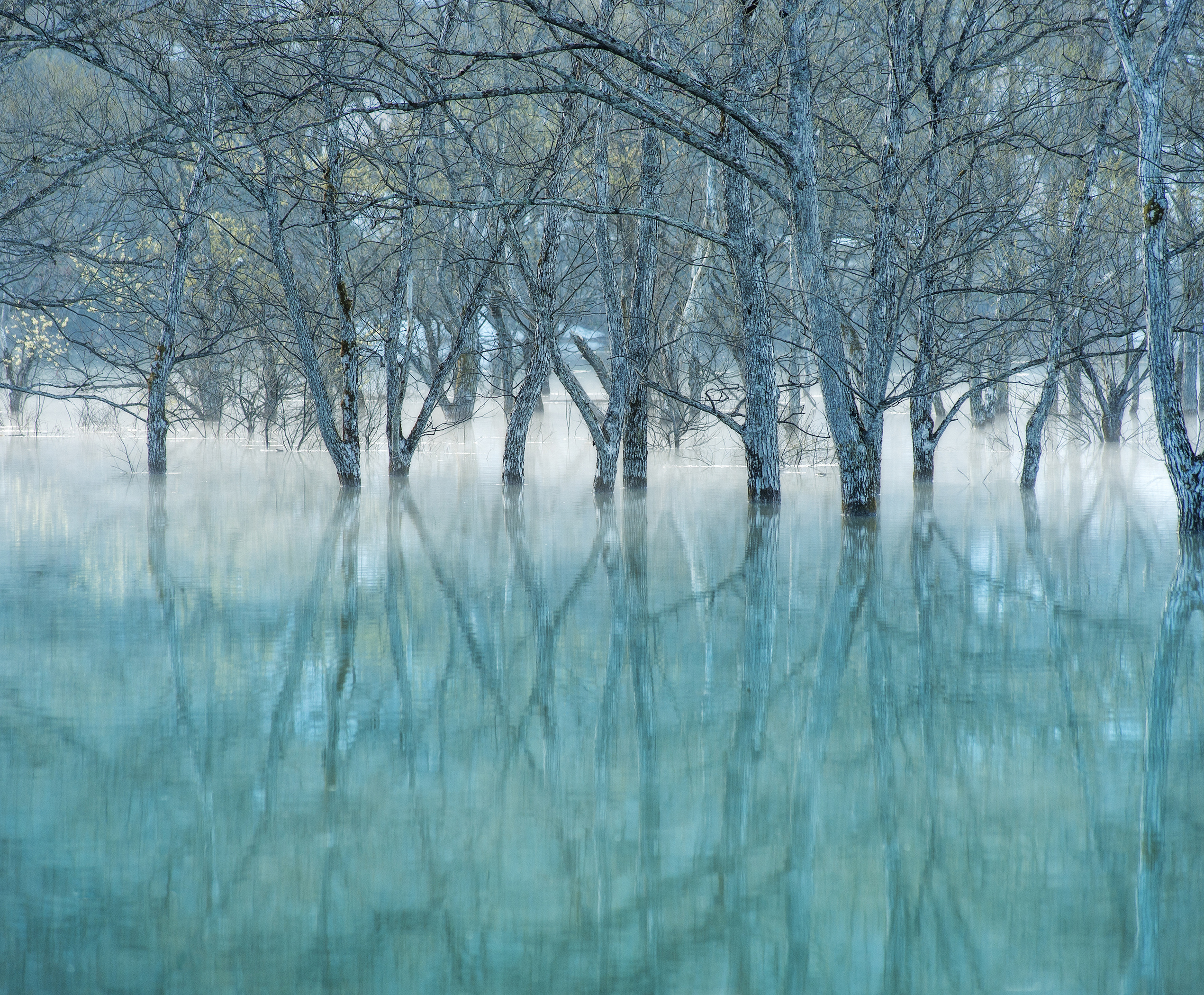 写真作家.photographer.写真展